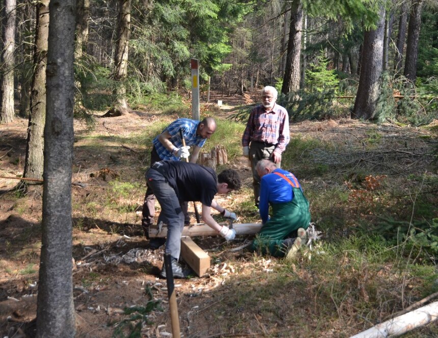 vier Menschen arbeiten im Wald beim Bau eines Bohlensteges