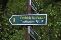 Wegweiser Forststeig