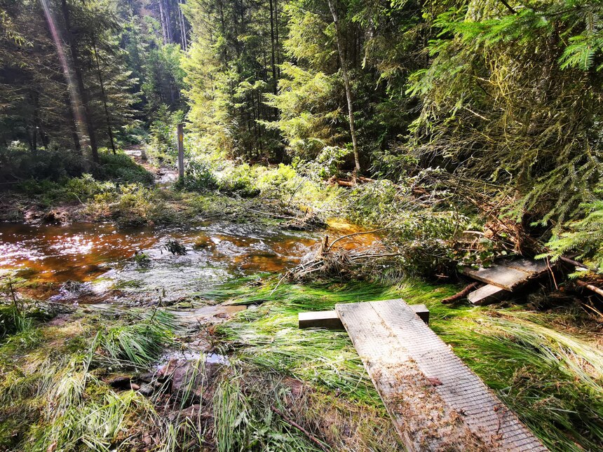 Bohlensteg von Wasser zerstört