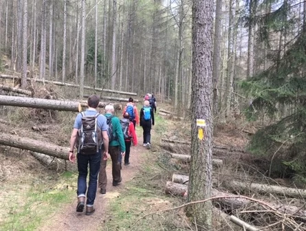 Die &uuml;ber 100 Kilometer lange Trekkingroute ist wieder ge&ouml;ffnet – trotz enormer Sturmsch&auml;den im Wald.
