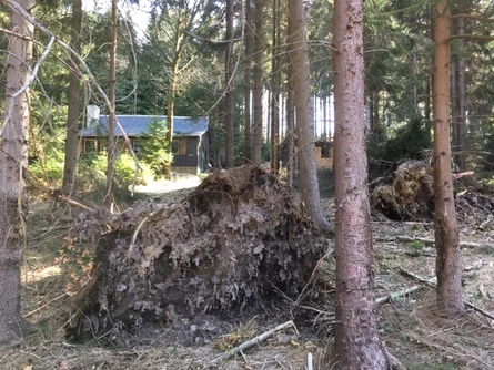 Sturmschaden bei Trekkingh&uuml;tte Willys Ruh