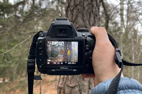 Fotoapparat vor Landschaft