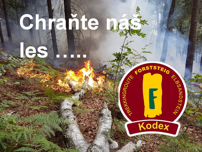 Foto eines Waldbrandes mit Logo des Forststeig Kodex und dem Schriftzug "Schütze den Wald"