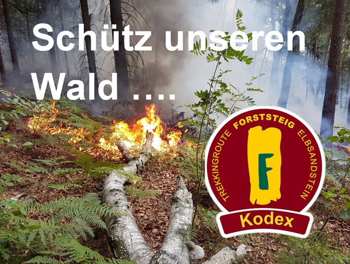 Foto eines Waldbrandes mit Logo des Forststeig Kodex und dem Schriftzug "Schütze den Wald"