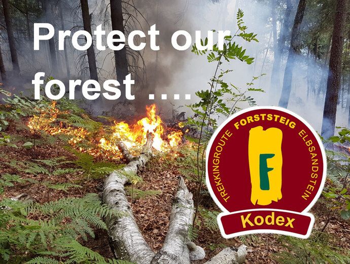 Foto eines Waldbrandes mit Logo des Forststeig Kodex und dem Schriftzug "Schütze den Wald"